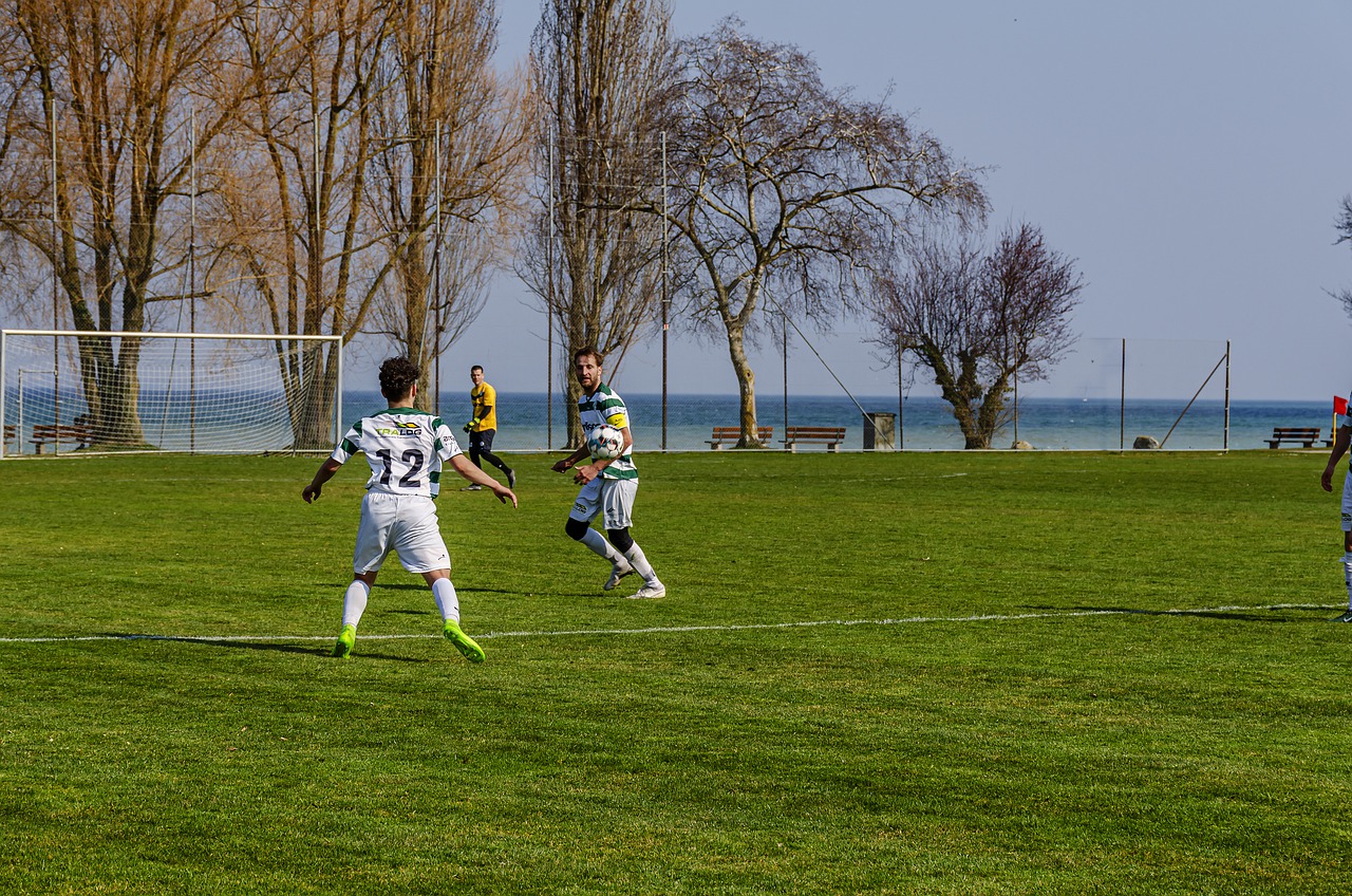 Mrbahis Şirketinin Çalışanları